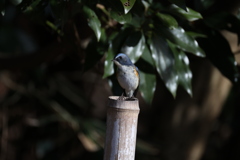 1年間お世話になりました。