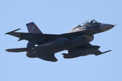 逆光美F-2!