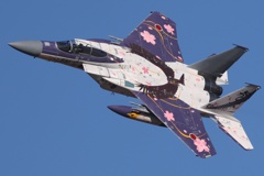 小松基地３０６飛行隊　スぺマ