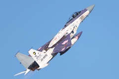 百里基地航空祭　３０６飛行隊