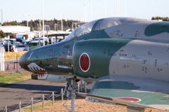 新zoom　撮って出し