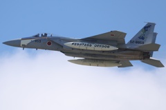 303飛行隊　特別塗装機