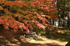 衆楽園の紅葉 その２