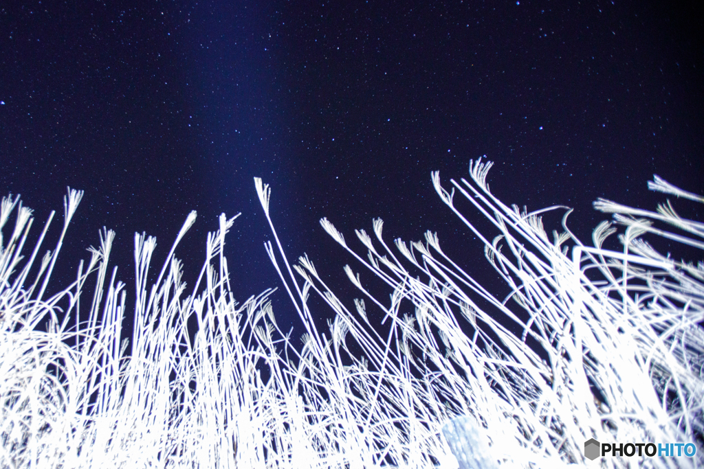 使徒ススキと星