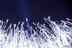 使徒ススキと星