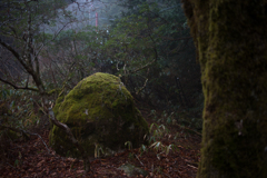 苔岩