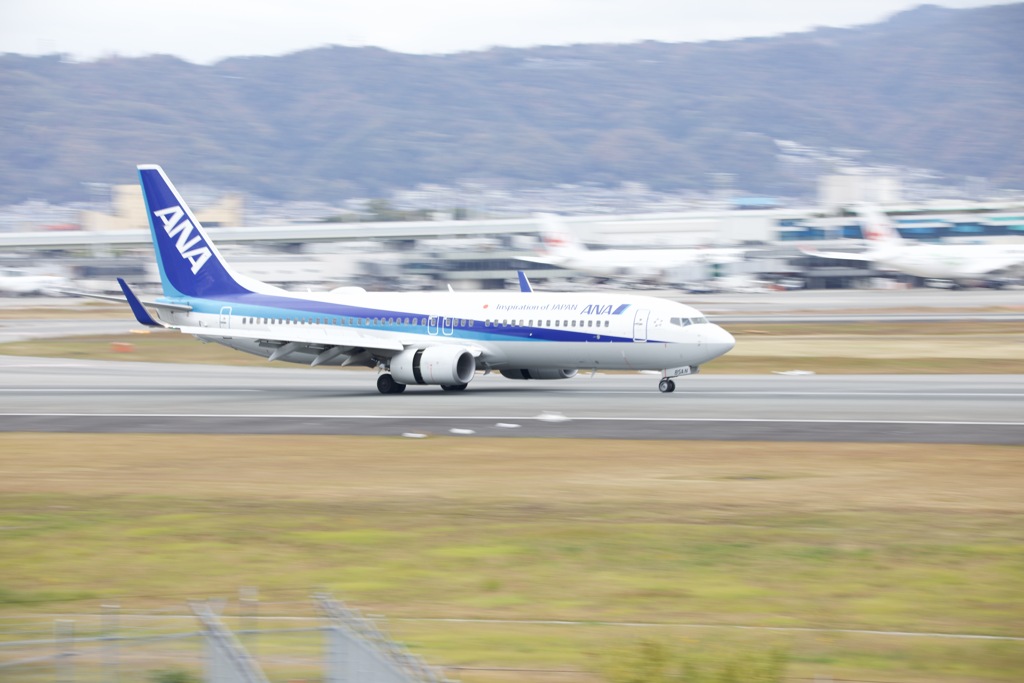 流し撮り成功！？