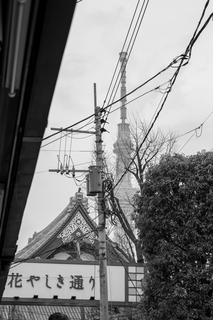 東京観光