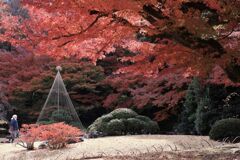 小石川後楽園