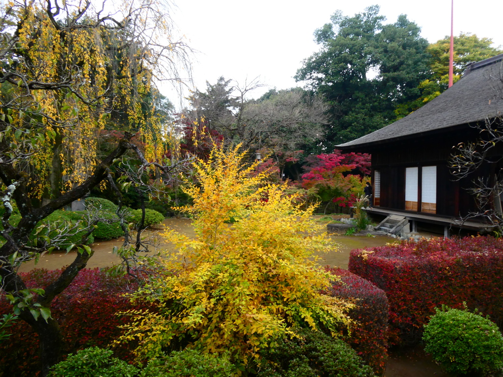 秋の喜多院紅葉山庭園