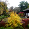秋の喜多院紅葉山庭園