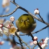 飛びますよ・・・