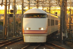 黄金色の景色をバックに・・・