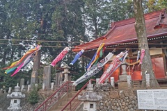 霞野神社のこいのぼり