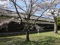 長屋門と桜
