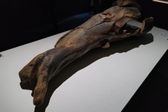 蘭奢待(レプリカ)