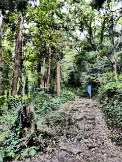これぞ山の参道