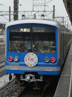 純粋な大雄山線