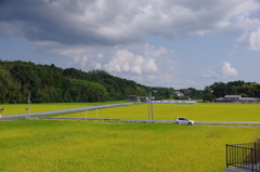 飛山城跡電停の田園風景