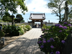 初夏の日差しはまぶしく・・・