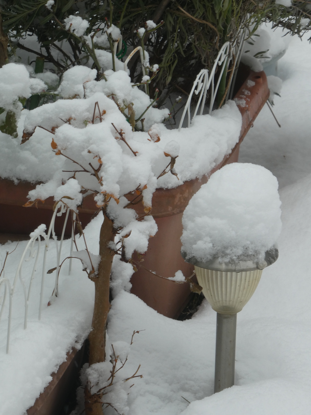 綿帽子かぶって・・・(２)