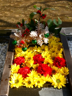 根岸八幡神社の花手水