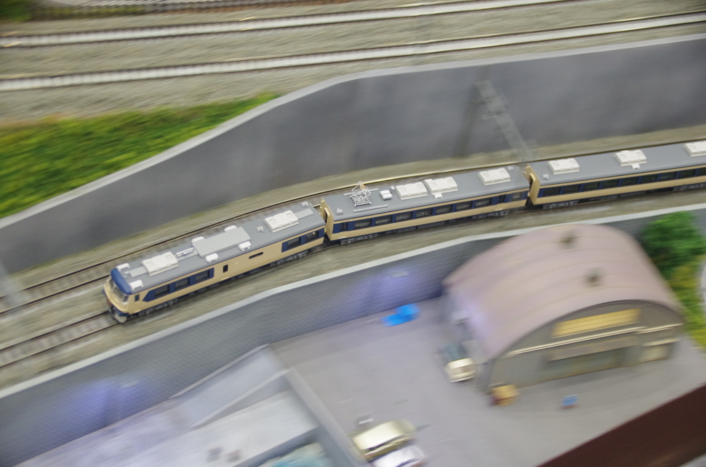 フリーの特急電車流し撮り