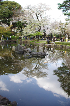 池の方が空っぽい・・・