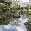 池の方が空っぽい・・・
