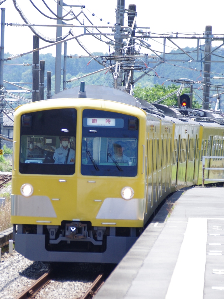 西武101系臨時列車