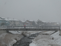 小畔川雪景色