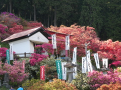 イナフクミ社