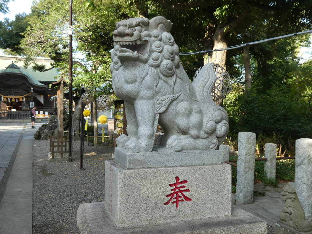 新しめの狛犬(阿形)