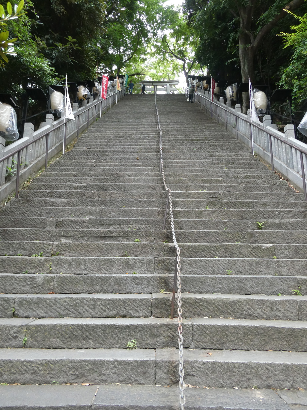 下から見ると・・・