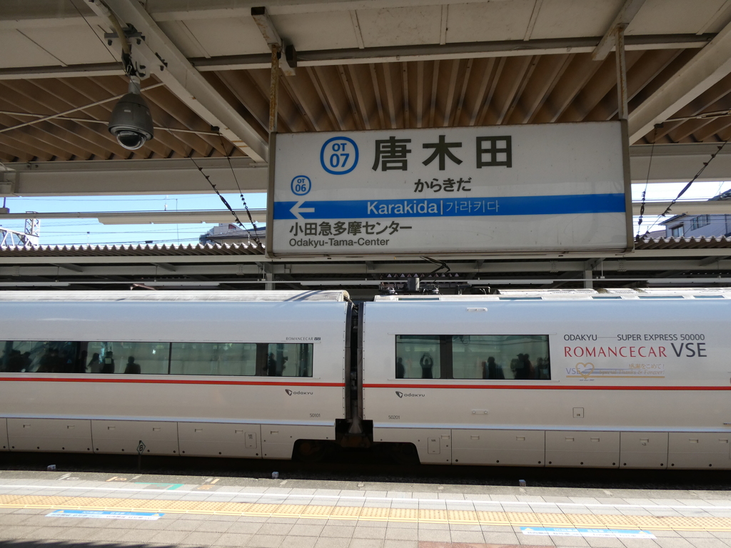 唐木田駅駅名標とVSE