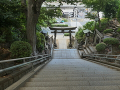 上から見た品川神社の階段