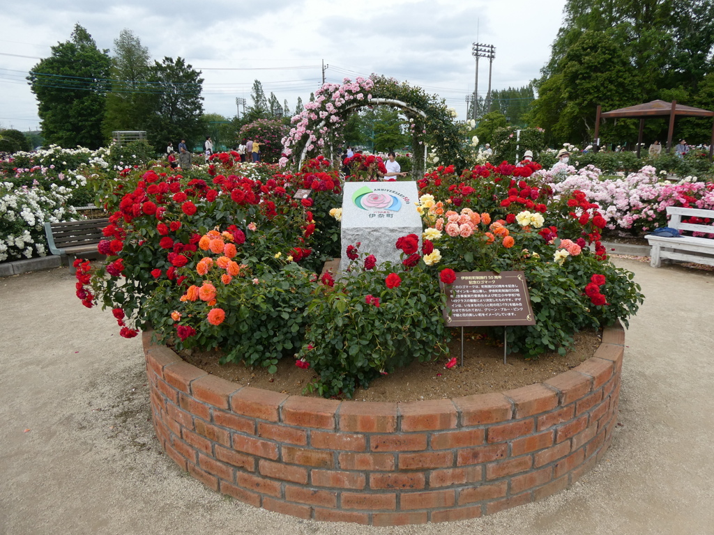 伊奈町町制50周年記念の花壇