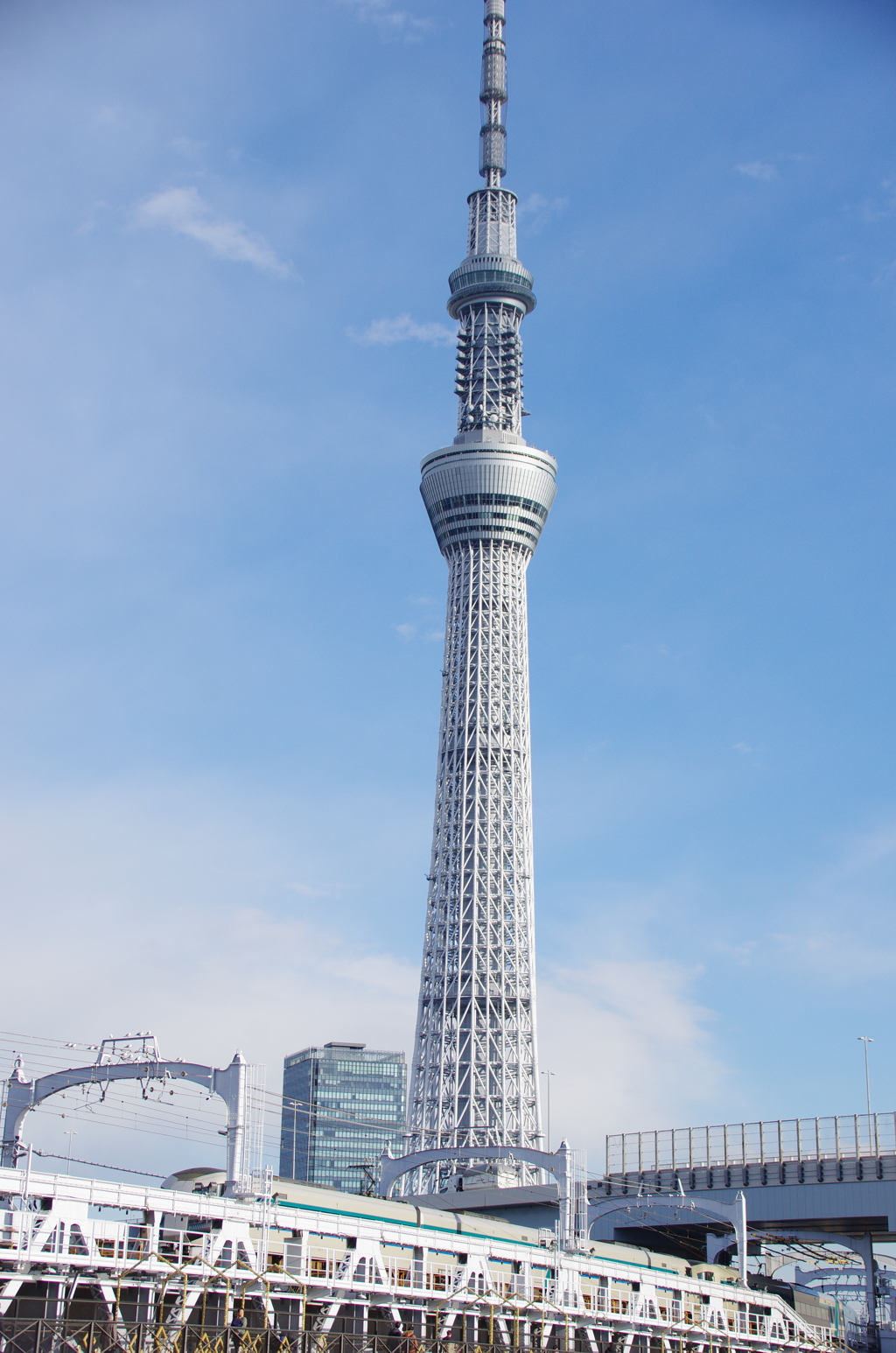 スカイツリーとリバティ
