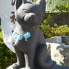 狛猫(阿形)