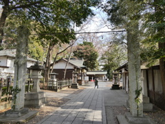 鳥居代わりの石柱with門松