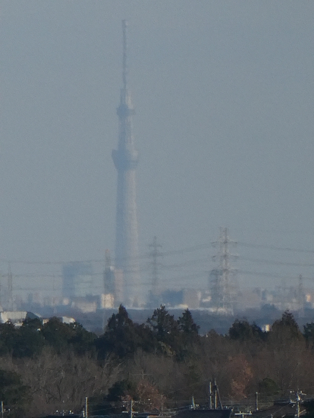 スカイツリー見えたーっ！