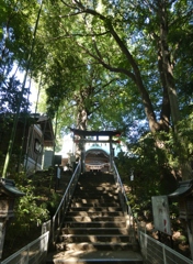 二宮神社の森