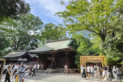 真夏の川越氷川神社