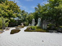 桂昌庭(京都時代と最初の大奥)