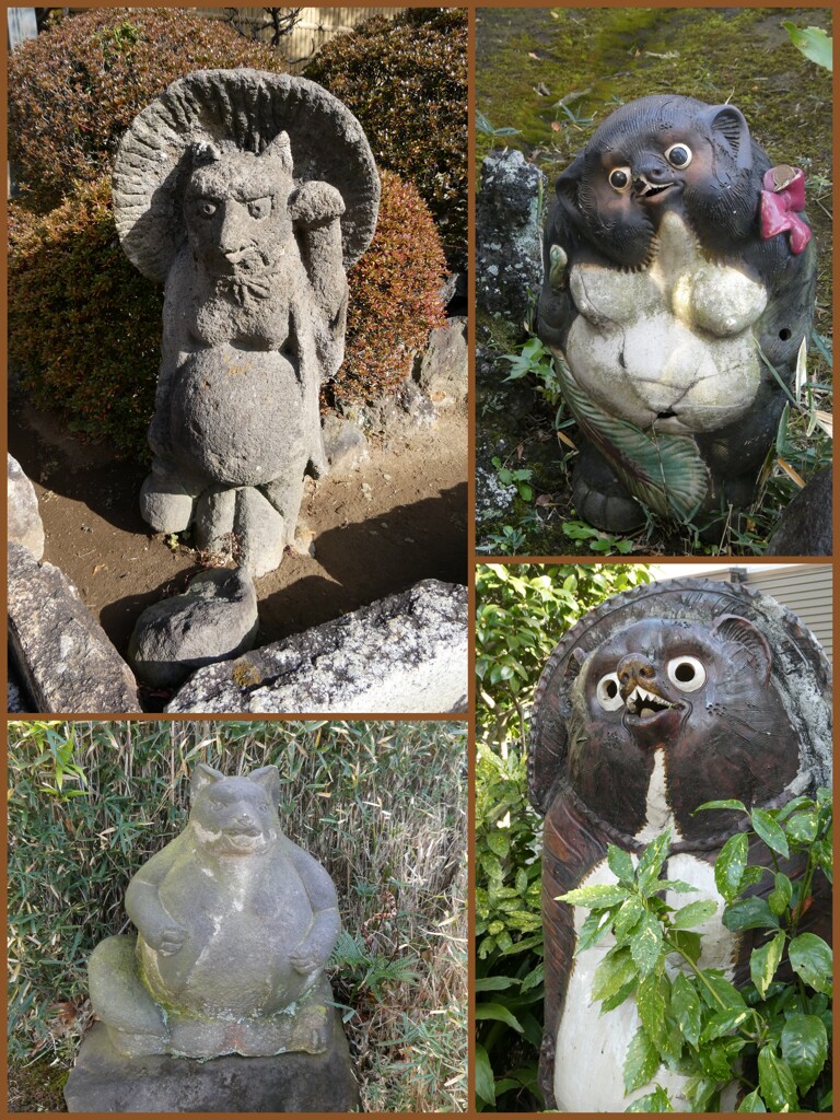 多門寺の狸たち