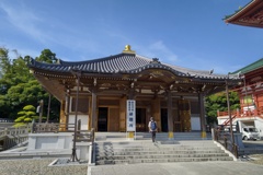 成田山新勝寺(醫王殿)