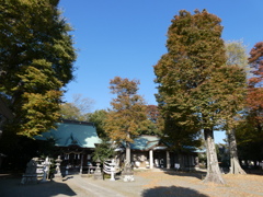 有鹿神社境内