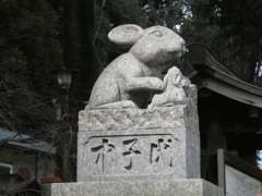 調神社(つきじんじゃ)の狛兎(1)