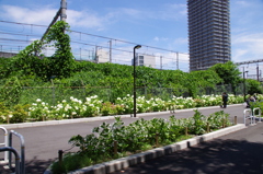 昔ここは飲み屋街でした・・・