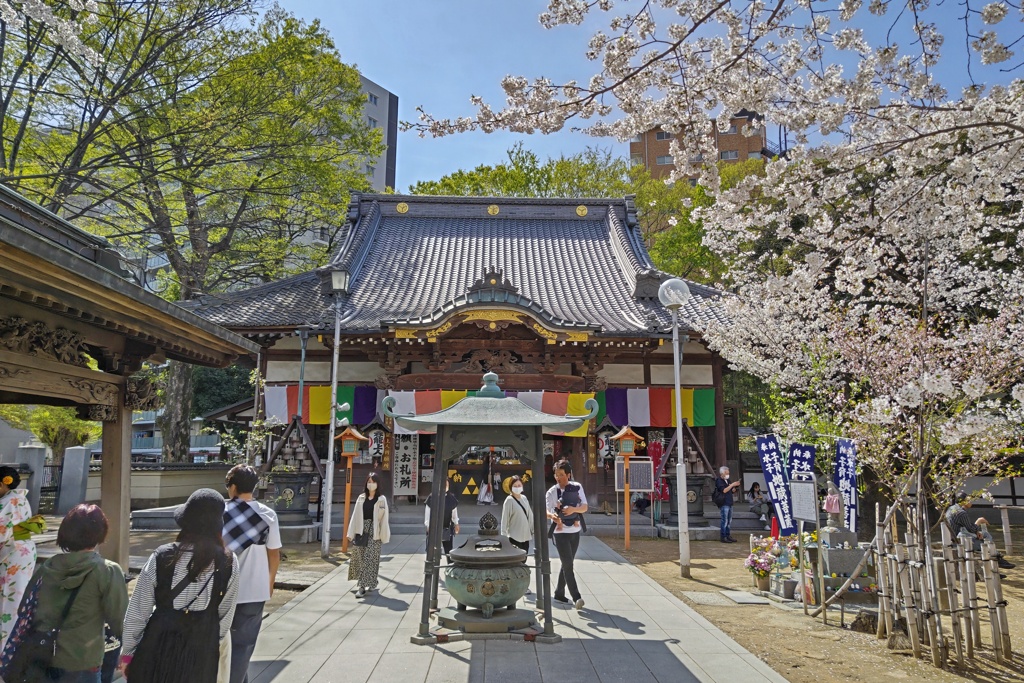 春の蓮馨寺(1)